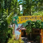 accueil maison du cacao pointe noire guadeloupe guillaume aricique1 min 380x480 f50 50