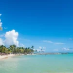 accueil plage sainte anne guadeloupe guillaume aricique 1 1 380x480 f50 50