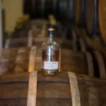 accueil rhum bologne guadeloupe guillaume aricique min scaled 530x0