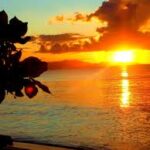 accueil site image 1